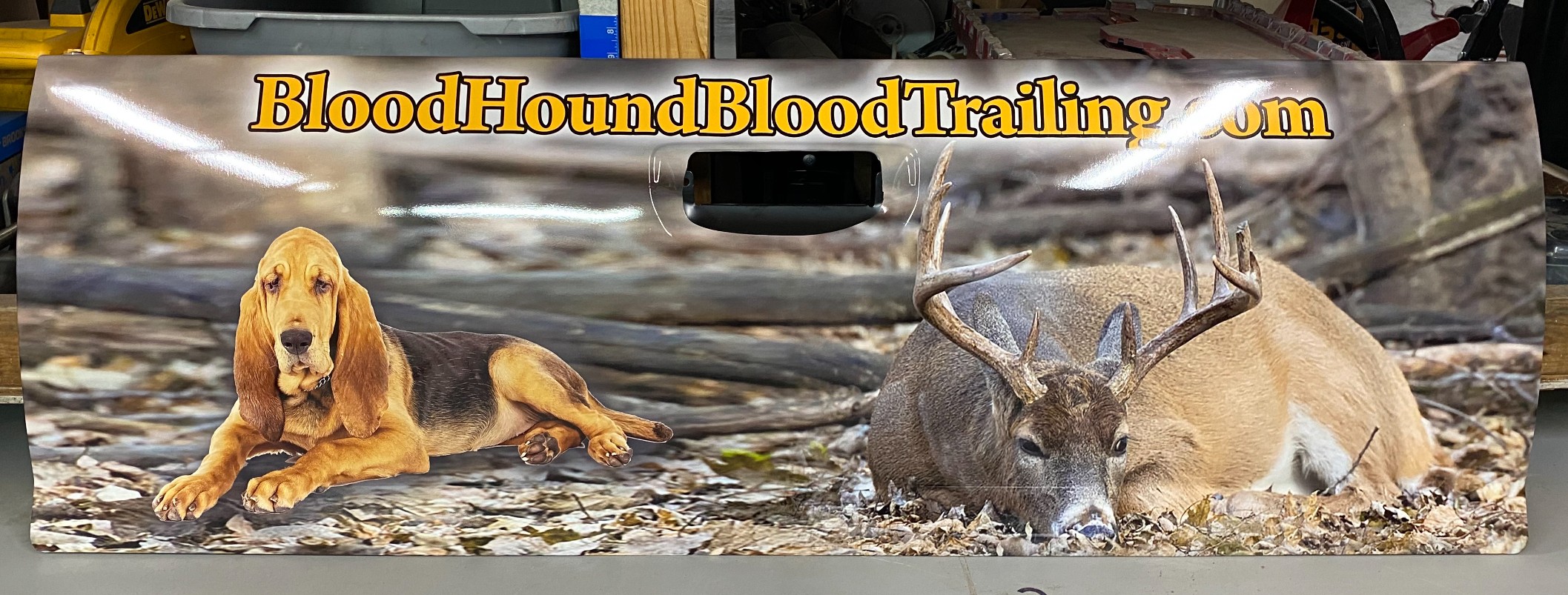 Bloodhound Bloodtrailing - 